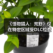 《怪物猎人:荒野》仅在特定区域受DLC检查才会掉帧(图1) 《怪物猎人:荒野》仅在特定区域受DLC检查才会掉帧(图1)