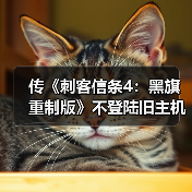 传《刺客信条4：黑旗 重制版》