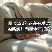 曝《CS2》正在开发宠物系统！有望今年打磨成熟（图3）