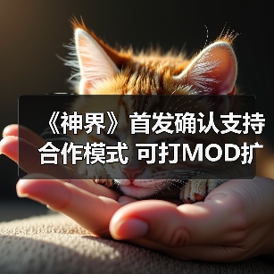 《神界》首发确认支持合作模式 