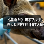 《星露谷》玩家为去世爱人找回存档 制作人暖心帮助(图2) 《星露谷》玩家为去世爱人找回存档 制作人暖心帮助(图2)