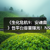 《生化危机9：安魂曲》各平台容