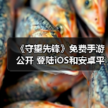 《守望先锋》免费手游公开 登陆iOS和安卓平台(图2) 《守望先锋》免费手游公开 登陆iOS和安卓平台(图2)
