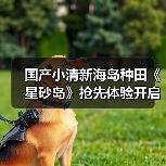 国产小清新海岛种田《星砂岛》抢先体验开启(图4) 国产小清新海岛种田《星砂岛》抢先体验开启(图4)