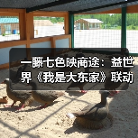 一藤七色映商途:益世界《我是大东家》联动《葫芦兄弟》,共绘古风商道新章(图4) 一藤七色映商途:益世界《我是大东家》联动《葫芦兄弟》,共绘古风商道新章(图4)