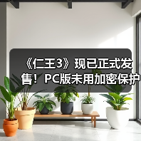 《仁王3》现已正式发售！PC版未用加密保护（图3）