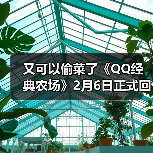 又可以偷菜了《QQ经典农场》2月6日正式回归（图2）